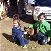 Aiuto compiti e ripetizioni per bambini e ragazzi